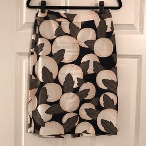 Ann Taylor Skirt